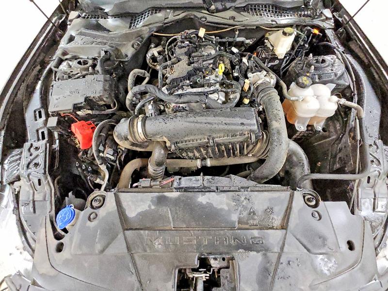 Продаж на аукціоні авто 2024 Ford Mustang, vin: 1FA6P8TH3R5122024, номер лоту: 53474396