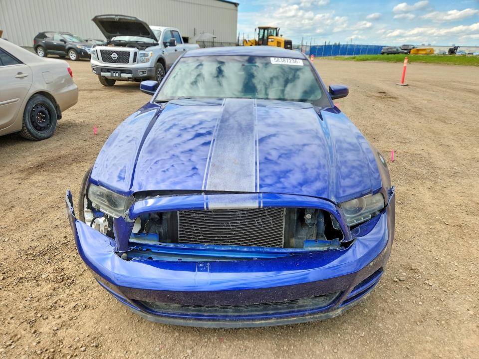 58387236 :رقم المزاد ، 1ZVBP8AMXE5317635 vin ، 2014 Ford Mustang مزاد بيع