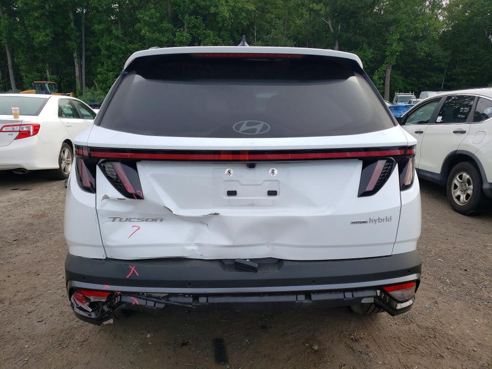 57724256 :رقم المزاد ، KM8JEDD11TU443864 vin ، 2026 Hyundai Tucson Hybrid مزاد بيع