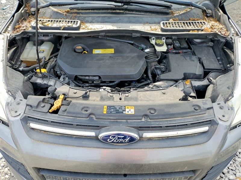 56717056 :رقم المزاد ، 1FMCU0GXXDUA99389 vin ، 2013 Ford Escape مزاد بيع