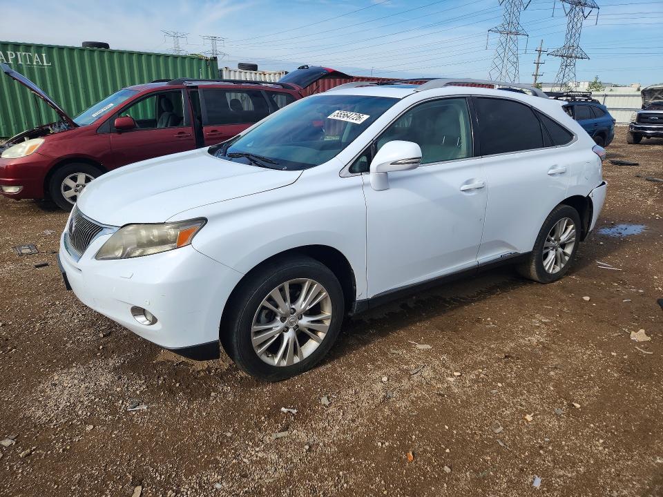 55564726 :رقم المزاد ، JTJBC1BA6A2009851 vin ، 2010 Lexus Rx مزاد بيع