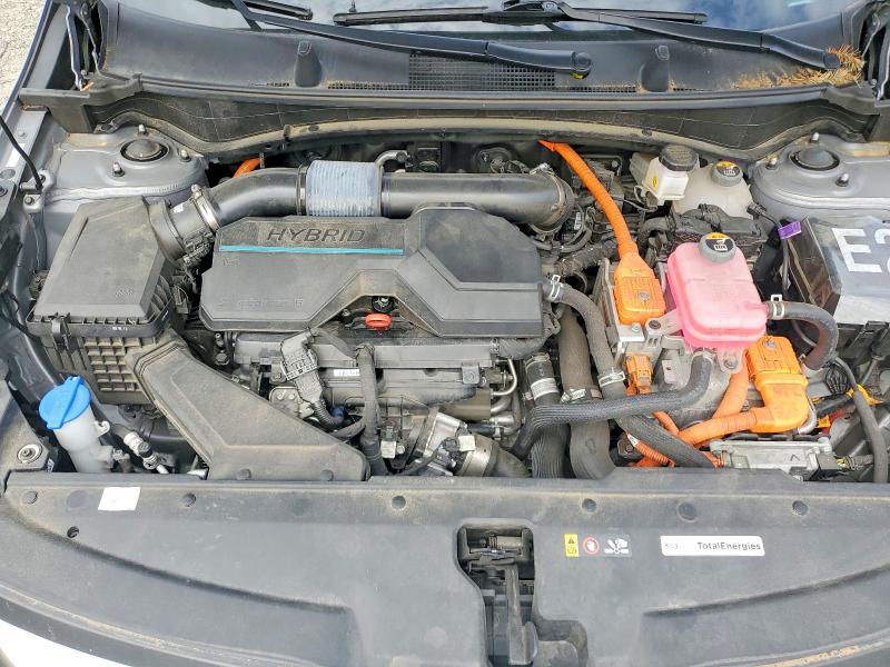 Продаж на аукціоні авто 2023 Kia Sportage, vin: KNDPUCAG9P7033628, номер лоту: 55578016