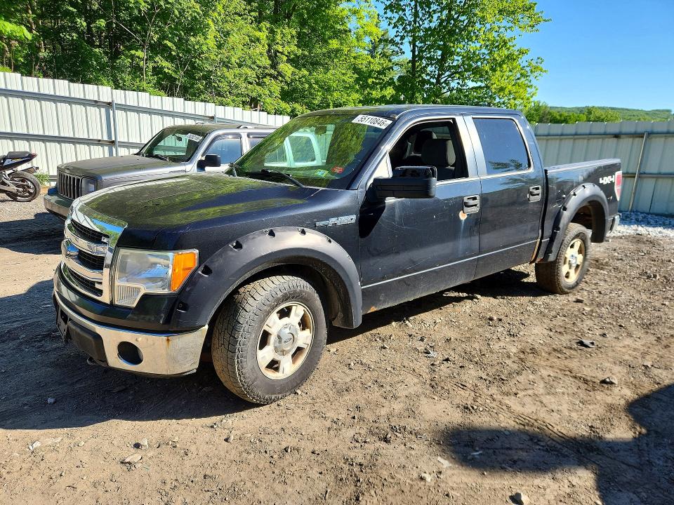 55110846 :رقم المزاد ، 1FTFW1EF1DKD10180 vin ، 2013 Ford F150 مزاد بيع