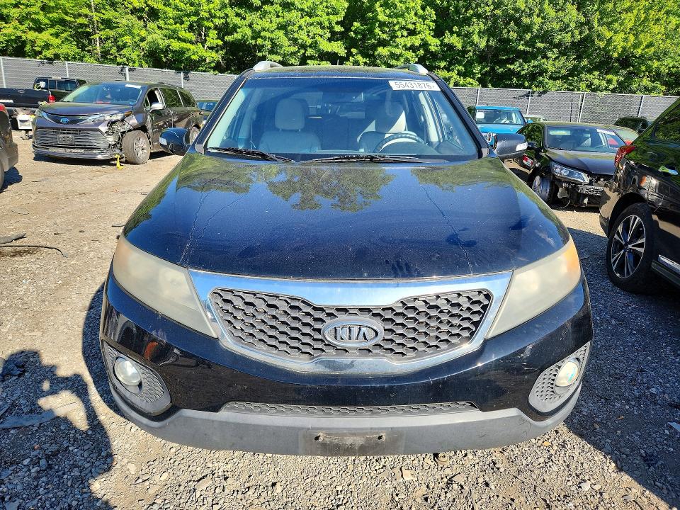 Продаж на аукціоні авто 2011 Kia Sorento, vin: 5XYKTCA13BG163537, номер лоту: 55431876