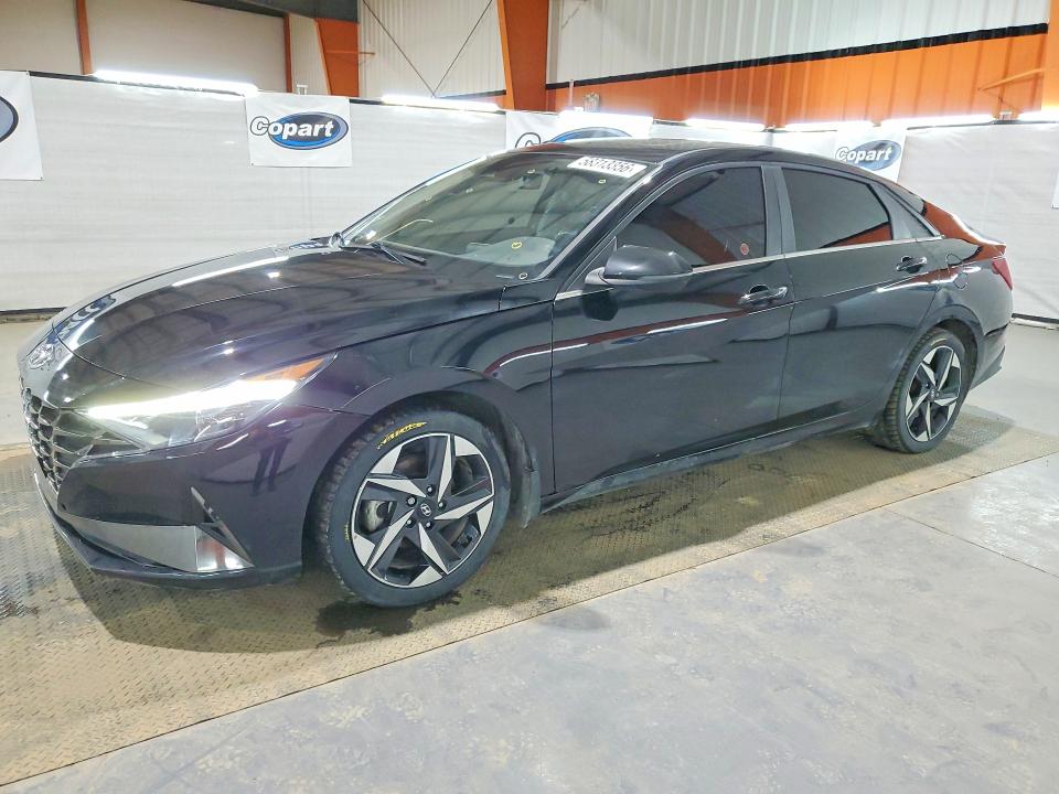 Auction sale of the 2023 Hyundai Elantra, vin: KMHLN4AG7PU502648, lot number: 58313356