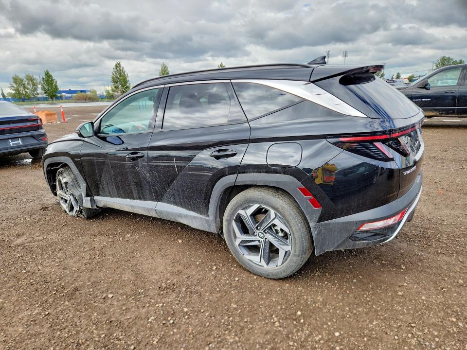 Продажа на аукционе авто 2024 Hyundai Tucson, vin: KM8JCCD14RU181914, номер лота: 57503226