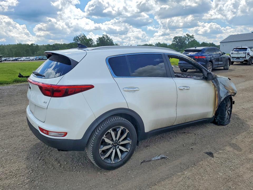 Продаж на аукціоні авто 2017 Kia Sportage, vin: KNDPNCAC1H7256936, номер лоту: 58229906