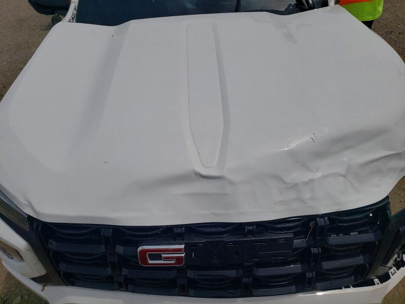 Aukcja sprzedaży 2026 Gmc Canyon, vin: 1GTP1BEK6T1160707, numer aukcji: 55767876