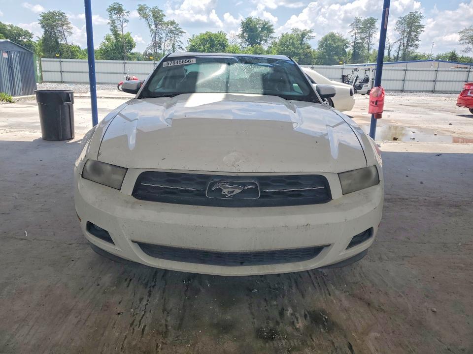 Продаж на аукціоні авто 2010 Ford Mustang, vin: 1ZVBP8AN8A5128968, номер лоту: 57045656