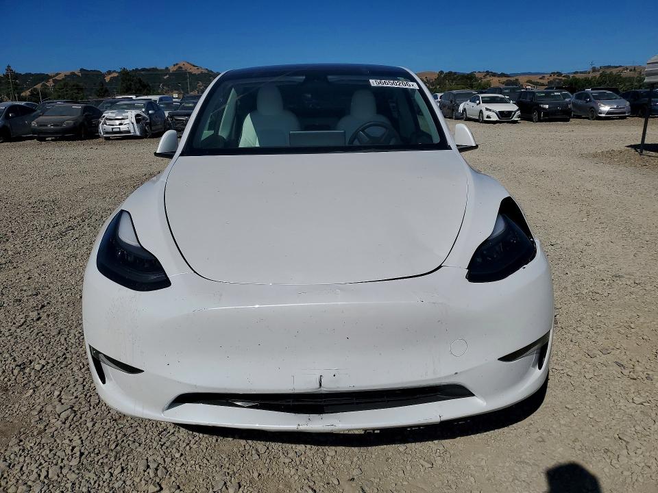 Aukcja sprzedaży 2023 Tesla Model Y, vin: 7SAYGDEE5PF647891, numer aukcji: 56650206
