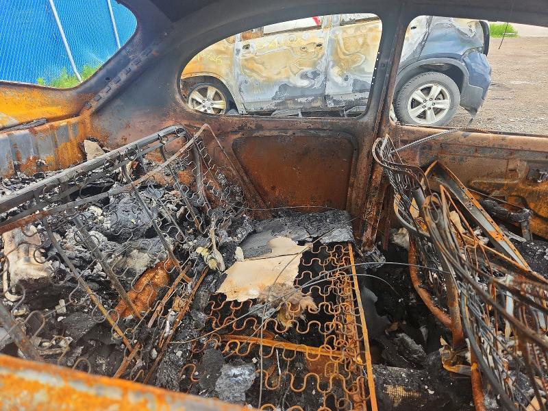 57295516 :رقم المزاد ، 117101418 vin ، 1967 Volkswagen Beetle مزاد بيع