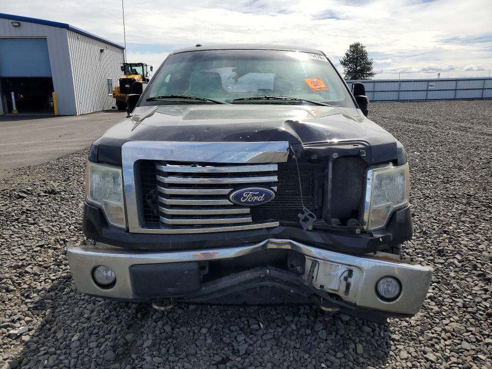 Продажа на аукционе авто 2010 Ford F150, vin: 1FTFX1EV1AFC13327, номер лота: 55604476