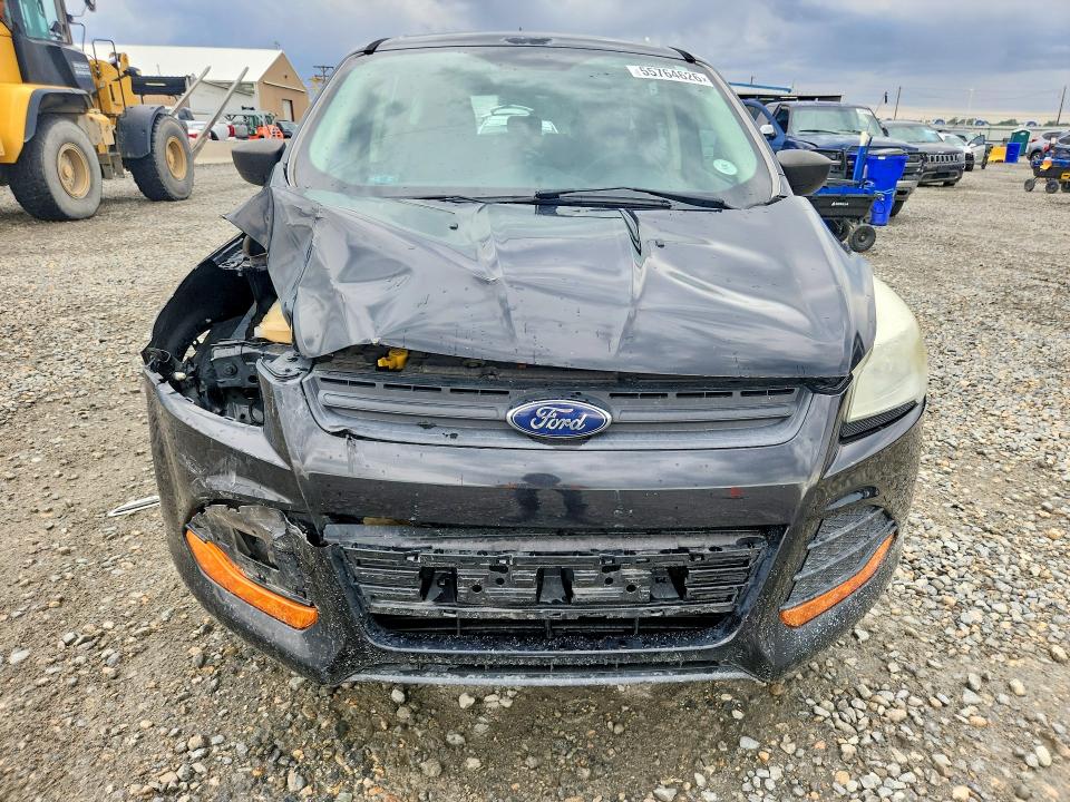 55764626 :رقم المزاد ، 1FMCU0F76FUB81026 vin ، 2015 Ford Escape مزاد بيع