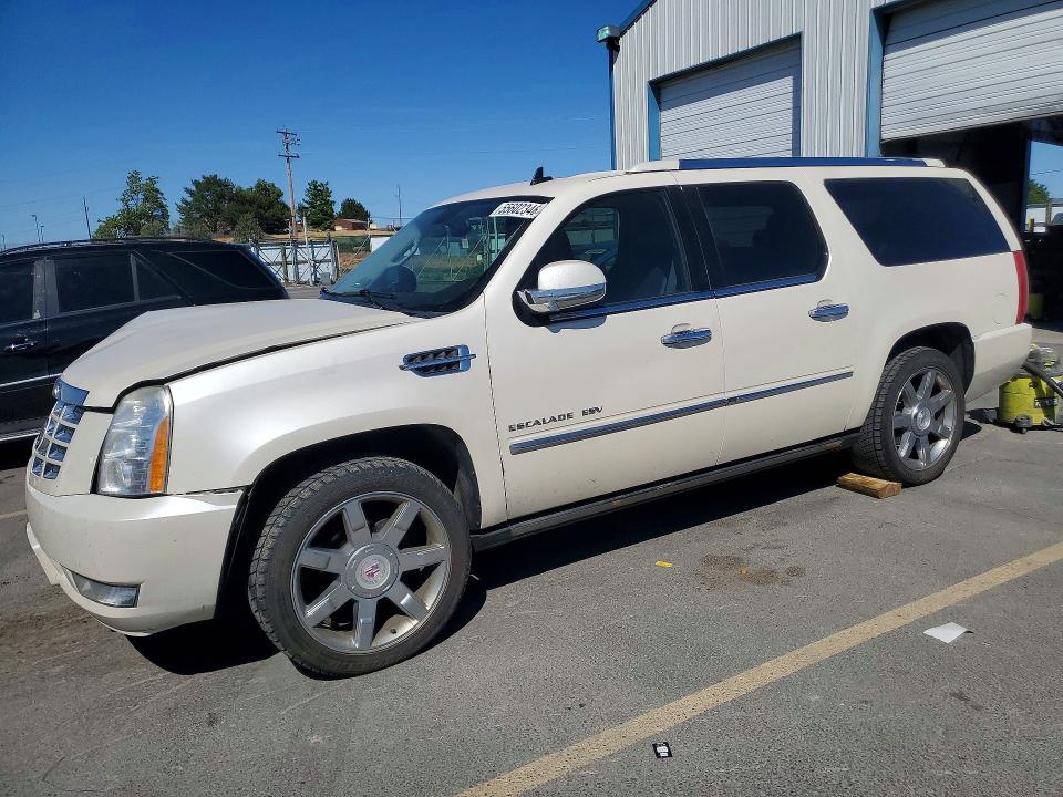 55602346 :رقم المزاد ، 1GYUKJEF1AR108455 vin ، 2010 Cadillac Escalade مزاد بيع