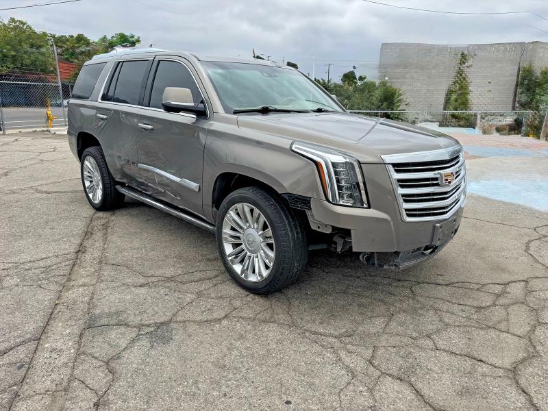 Auction sale of the 2019 Cadillac Escalade, vin: 1GYS3DKJ7KR173584, lot number: 59344396
