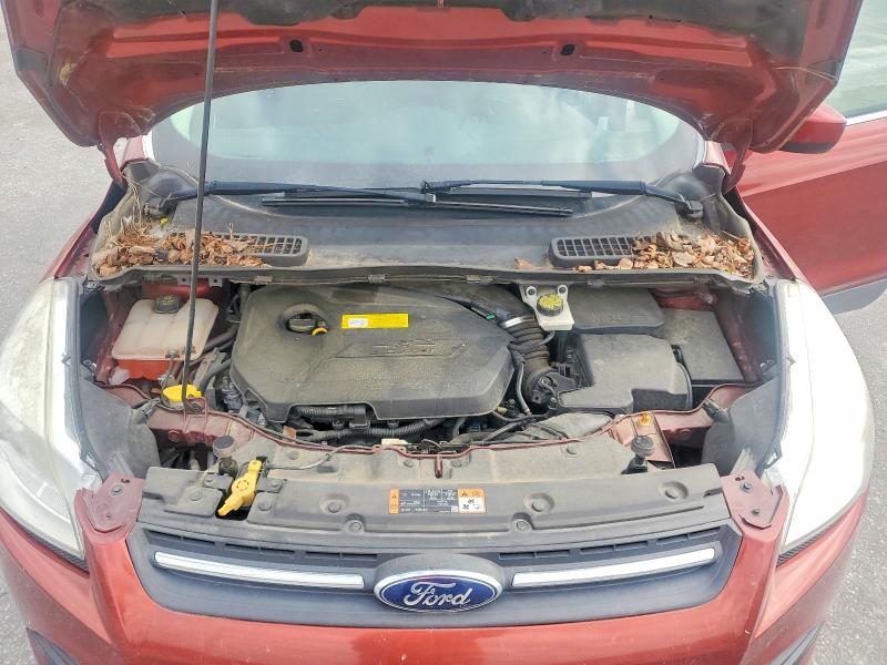 2015 Ford Escape მანქანა იყიდება აუქციონზე, vin: 1FMCU0GX0FUC60304, აუქციონის ნომერი: 55706036