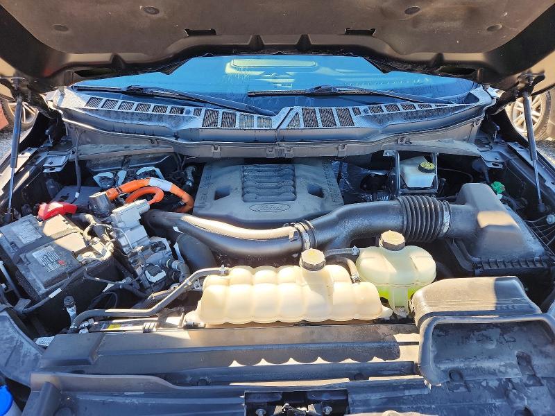 58393116 :رقم المزاد ، 1FTFW1ED7MFB13425 vin ، 2021 Ford F150 مزاد بيع