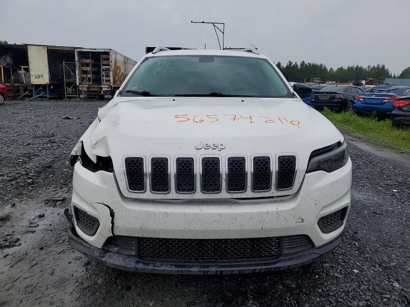 56574216 :رقم المزاد ، 1C4PJLAB4KD193486 vin ، 2019 Jeep Cherokee مزاد بيع