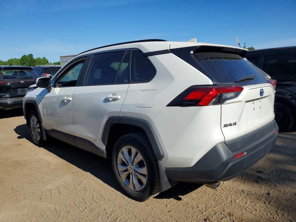 55351566 :رقم المزاد ، 2T3BWRFV7KW003782 vin ، 2019 Toyota Rav4 مزاد بيع