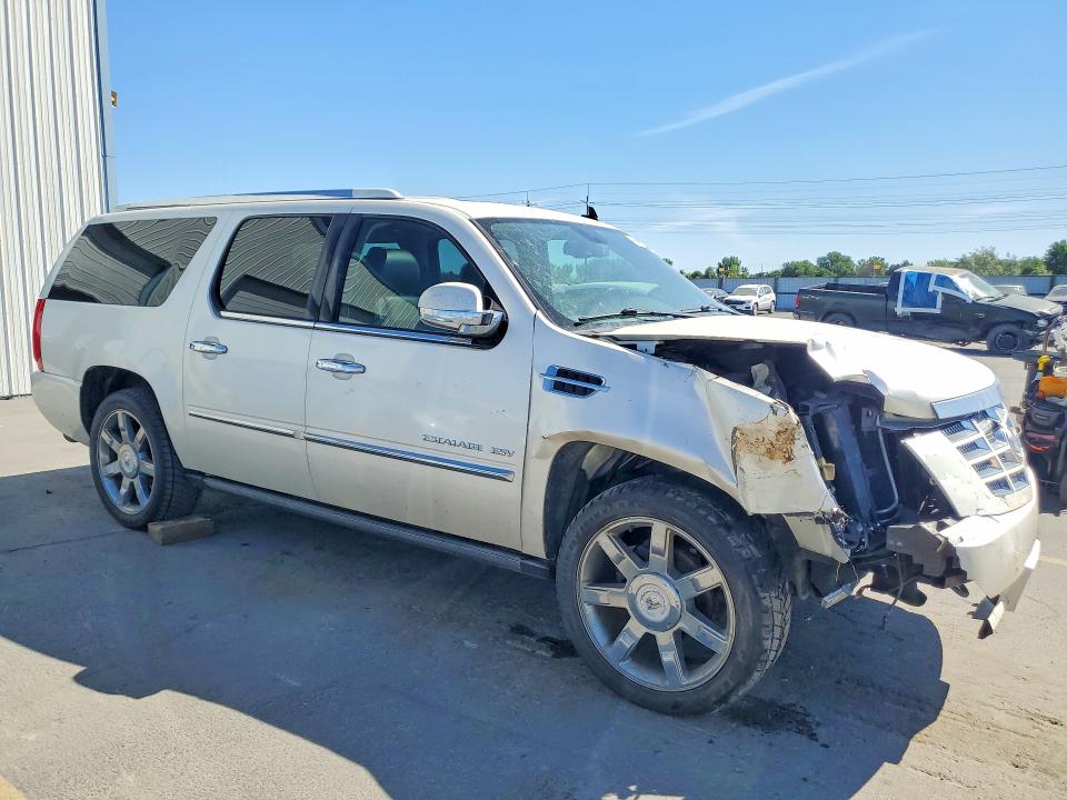 55602346 :رقم المزاد ، 1GYUKJEF1AR108455 vin ، 2010 Cadillac Escalade مزاد بيع