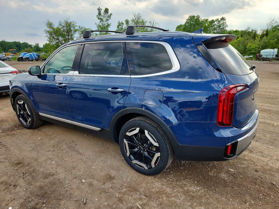 2024 Kia Telluride მანქანა იყიდება აუქციონზე, vin: 5XYP6DGC9RG556206, აუქციონის ნომერი: 56547126
