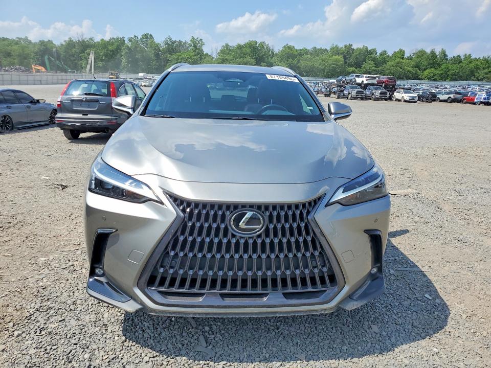 2023 Lexus Nx მანქანა იყიდება აუქციონზე, vin: 2T2GGCEZ5PC022557, აუქციონის ნომერი: 57159496