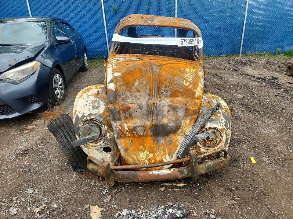 57295516 :رقم المزاد ، 117101418 vin ، 1967 Volkswagen Beetle مزاد بيع