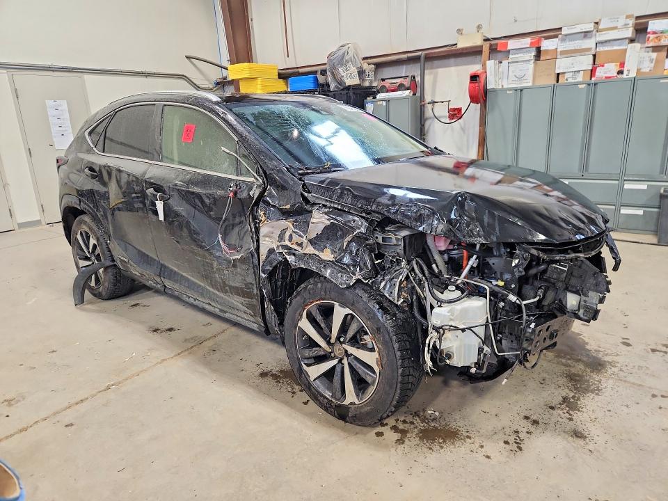 2020 Lexus Nx მანქანა იყიდება აუქციონზე, vin: JTJHJRDZ4L2145030, აუქციონის ნომერი: 55246256