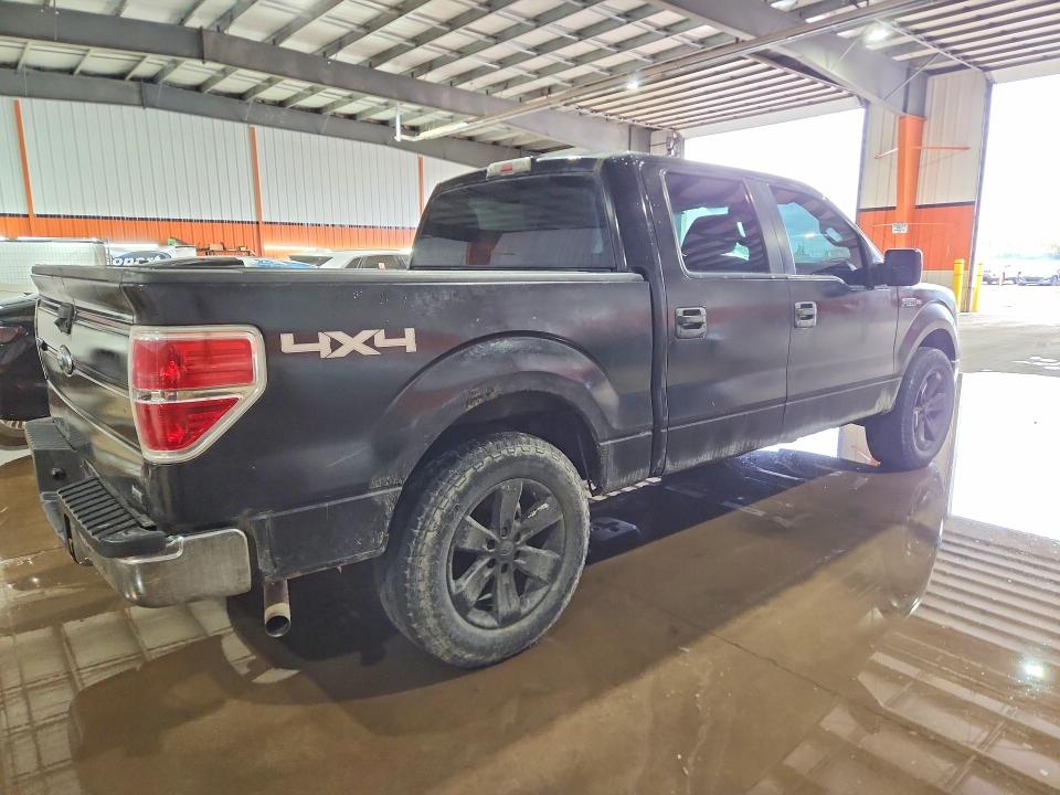 Продаж на аукціоні авто 2010 Ford F150, vin: 1FTFW1EV7AFD34561, номер лоту: 55973666