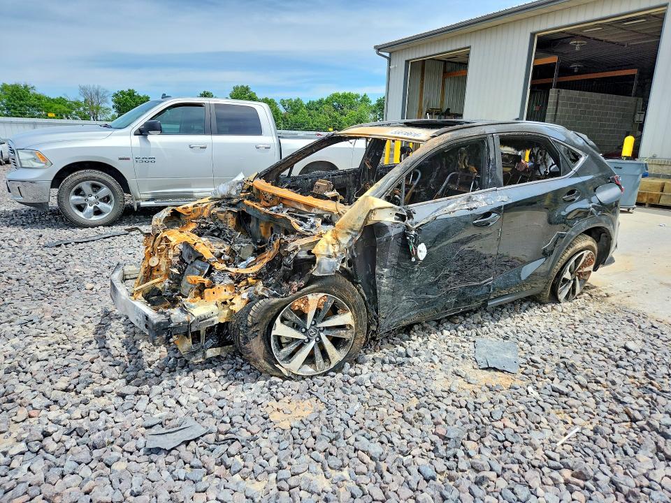 2021 Lexus Nx 300 მანქანა იყიდება აუქციონზე, vin: JTJGARDZ8M5029230, აუქციონის ნომერი: 55516616