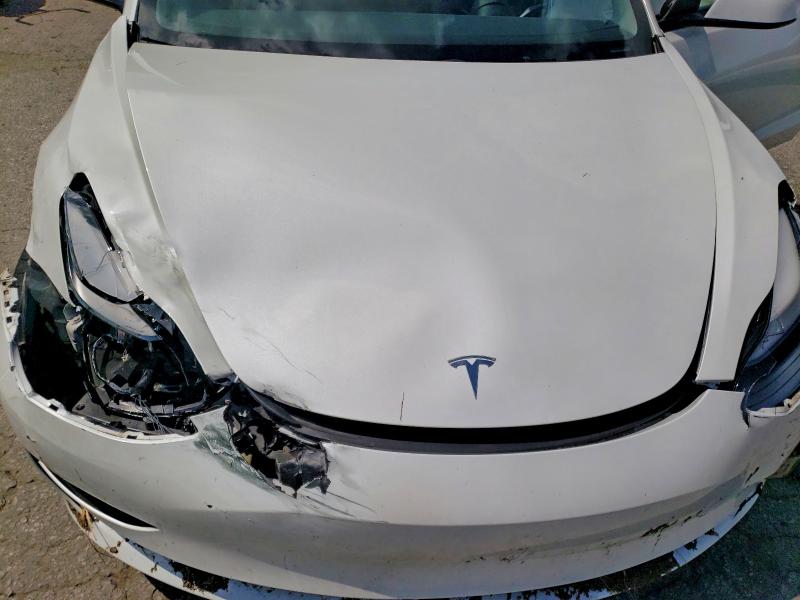 Продаж на аукціоні авто 2023 Tesla Model 3, vin: 5YJ3E1EA6PF541491, номер лоту: 56242726
