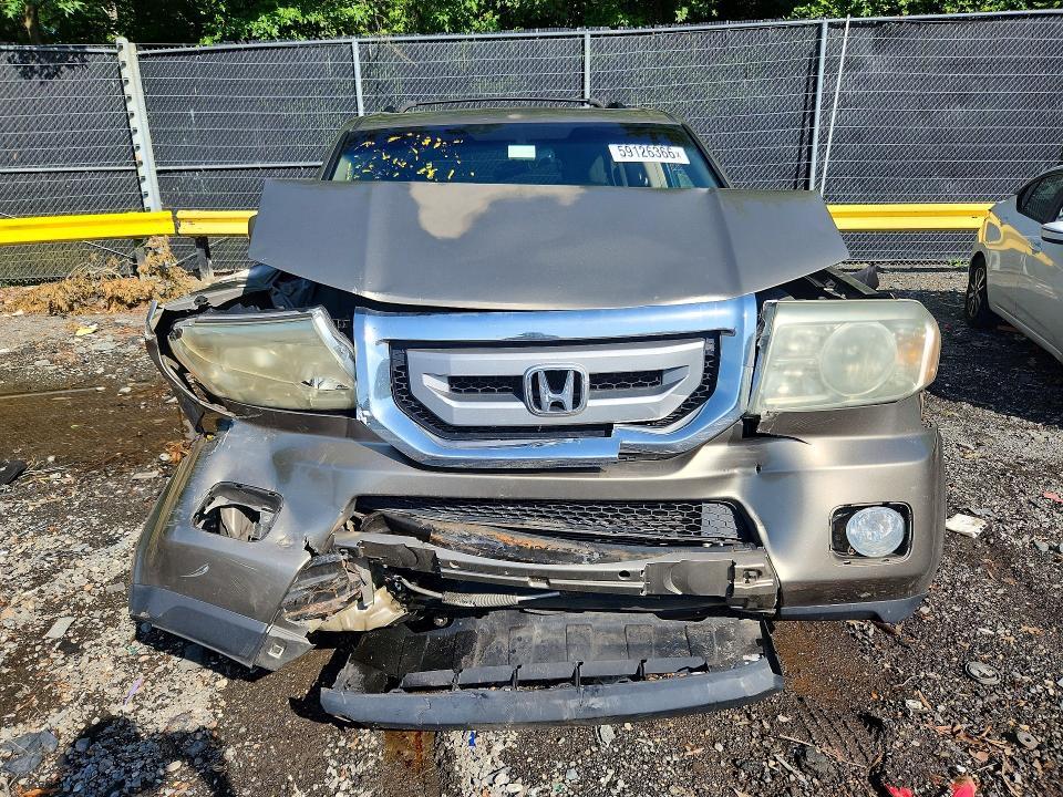 Продажа на аукционе авто 2009 Honda Pilot, vin: 5FNYF485X9B019128, номер лота: 59126366