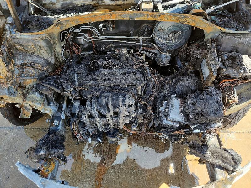 55956926 :رقم المزاد ، 5XYKT4A66EG495686 vin ، 2014 Kia Sorento مزاد بيع