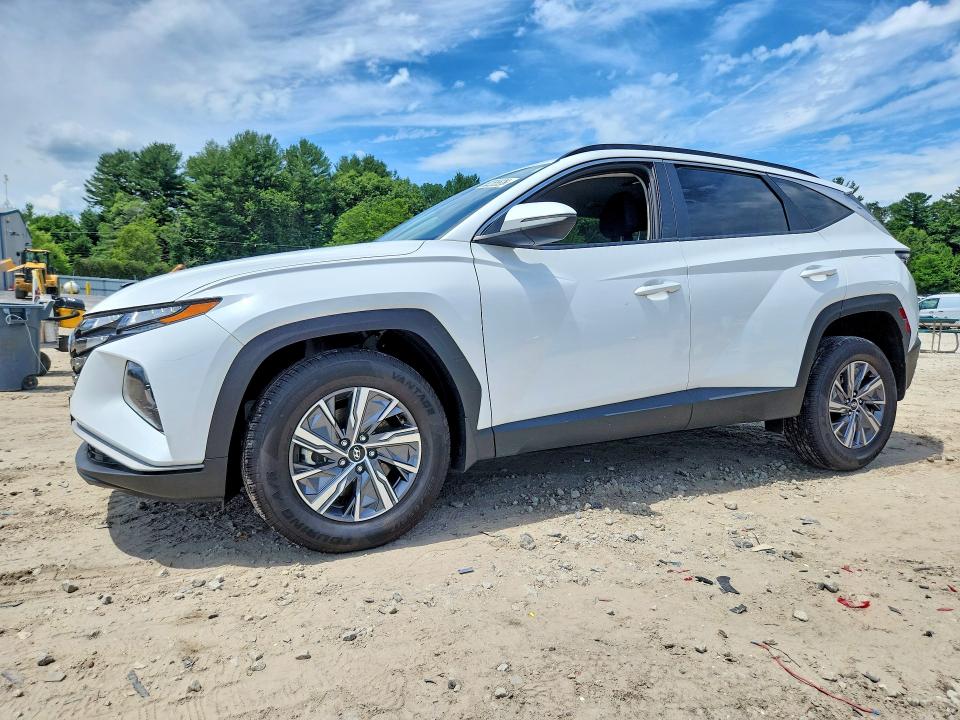 Продаж на аукціоні авто 2023 Hyundai Tucson, vin: KM8JBCA13PU091318, номер лоту: 58285526