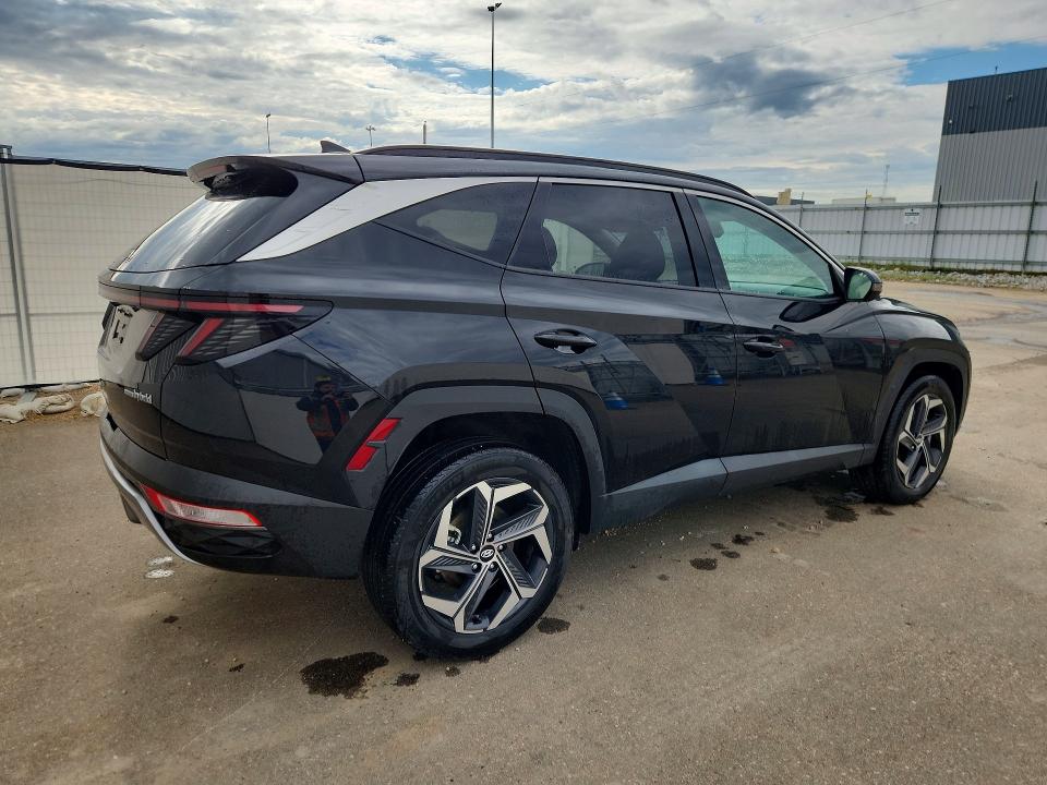 2024 Hyundai Tucson მანქანა იყიდება აუქციონზე, vin: KM8JCCD19RU181617, აუქციონის ნომერი: 57913316