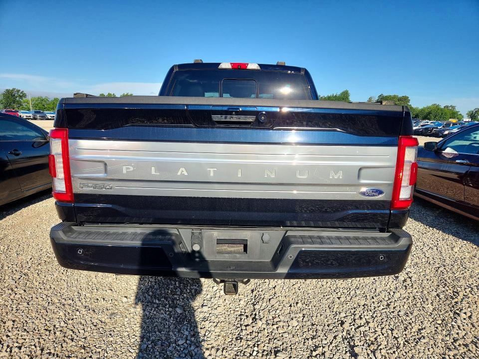 58393116 :رقم المزاد ، 1FTFW1ED7MFB13425 vin ، 2021 Ford F150 مزاد بيع