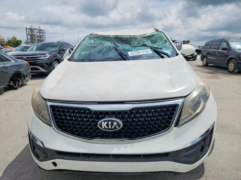 Продаж на аукціоні авто 2016 Kia Sportage, vin: KNDPB3AC7G7871983, номер лоту: 57391736