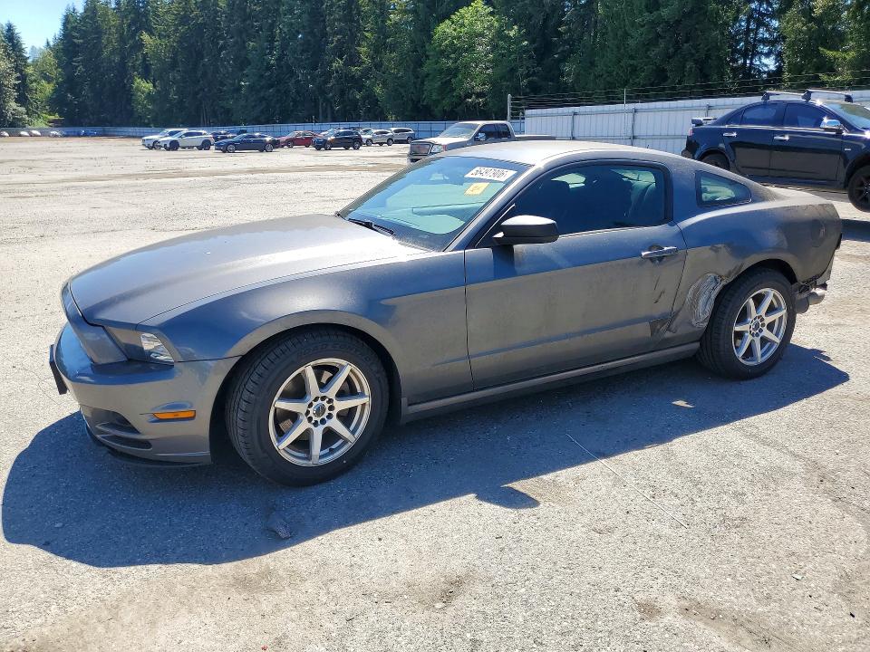 2014 Ford Mustang მანქანა იყიდება აუქციონზე, vin: 1ZVBP8AM2E5281567, აუქციონის ნომერი: 56497906