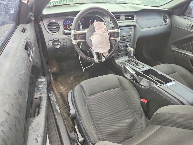 Aukcja sprzedaży 2014 Ford Mustang, vin: 1ZVBP8EM2E5208418, numer aukcji: 55719976