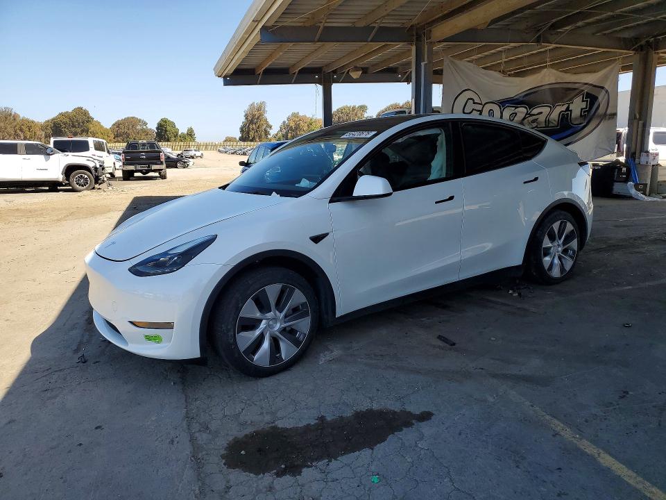 2023 Tesla Model Y მანქანა იყიდება აუქციონზე, vin: 7SAYGDEE1PF662548, აუქციონის ნომერი: 56420676