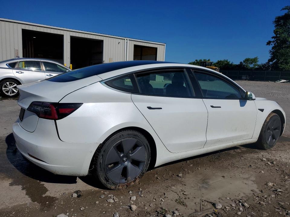 Продаж на аукціоні авто 2021 Tesla Model 3, vin: 5YJ3E1EA8MF913327, номер лоту: 57354766