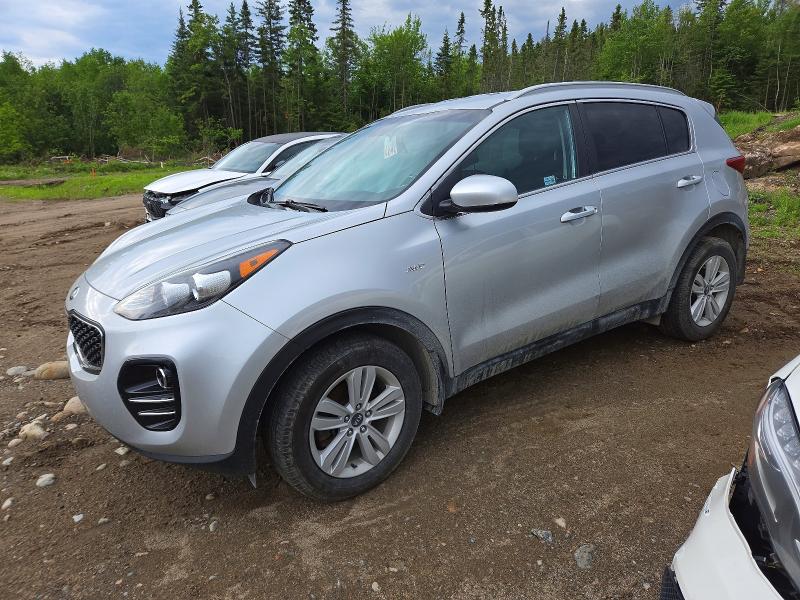 56303396 :رقم المزاد ، KNDPMCAC0H7148391 vin ، 2017 Kia Sportage مزاد بيع