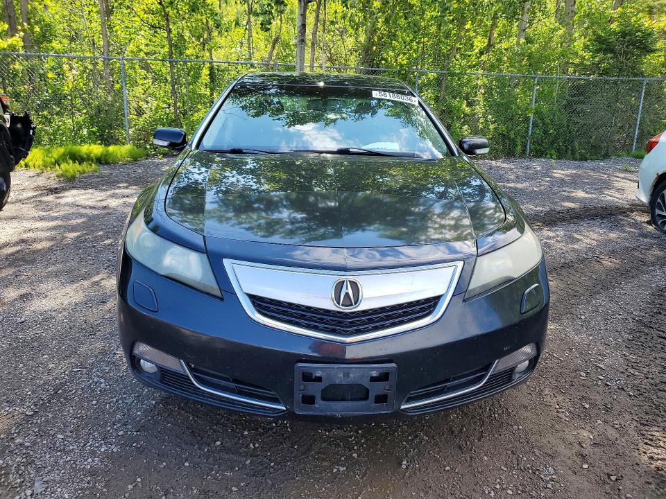 Продажа на аукционе авто 2013 Acura Tl, vin: 19UUA9F73DA801000, номер лота: 58188036