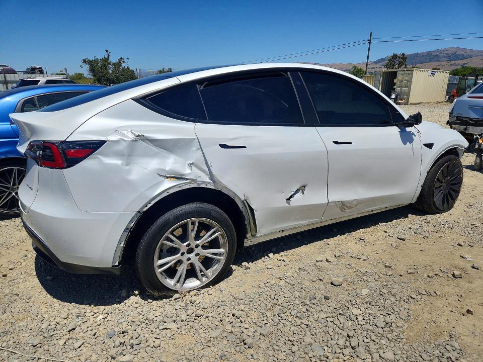 Продаж на аукціоні авто 2023 Tesla Model Y, vin: 7SAYGDEE2PA077507, номер лоту: 56152616