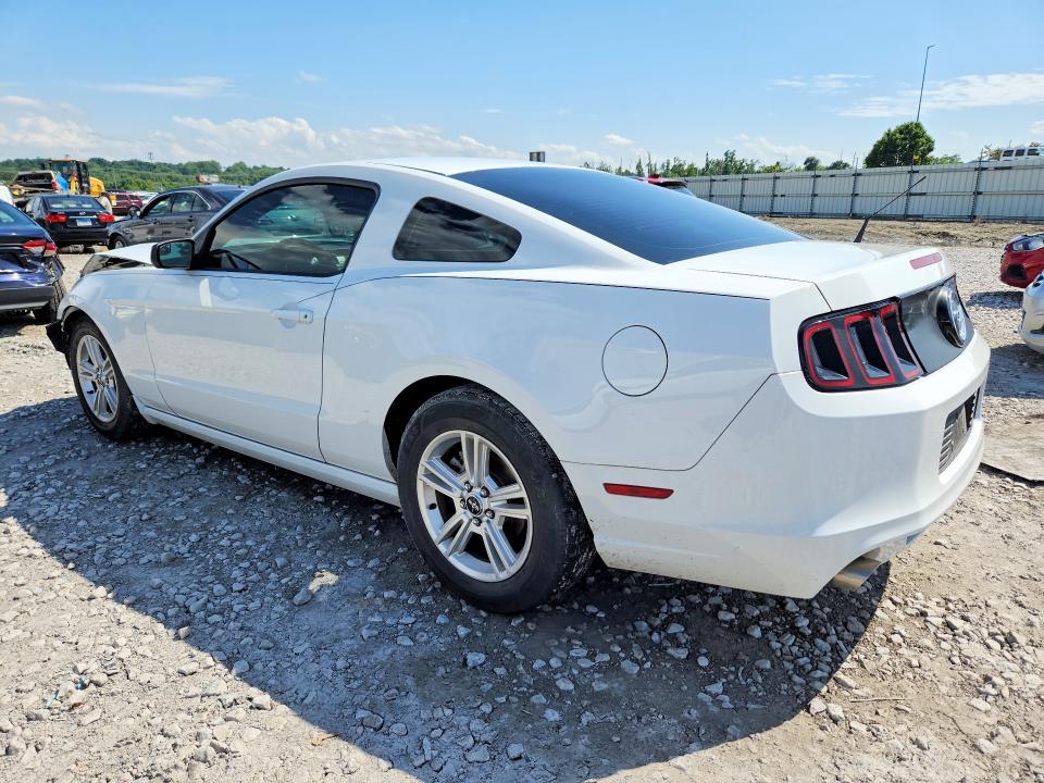 56648326 :رقم المزاد ، 1ZVBP8AM7E5203673 vin ، 2014 Ford Mustang مزاد بيع