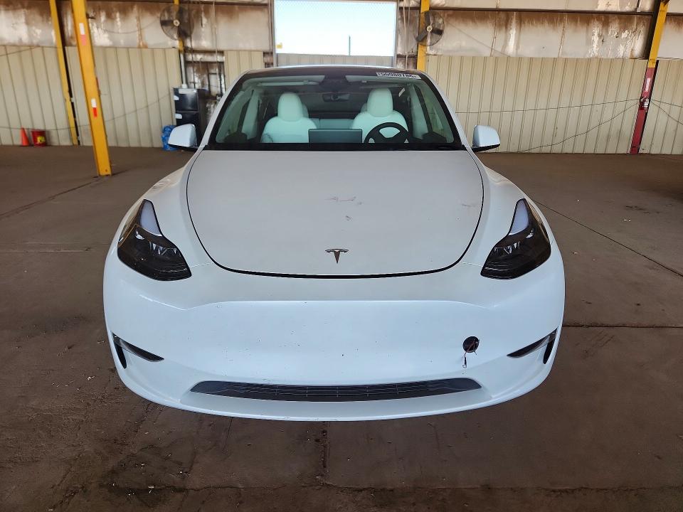 Продажа на аукционе авто 2024 Tesla Model Y, vin: 7SAYGDEE6RF207696, номер лота: 55980786
