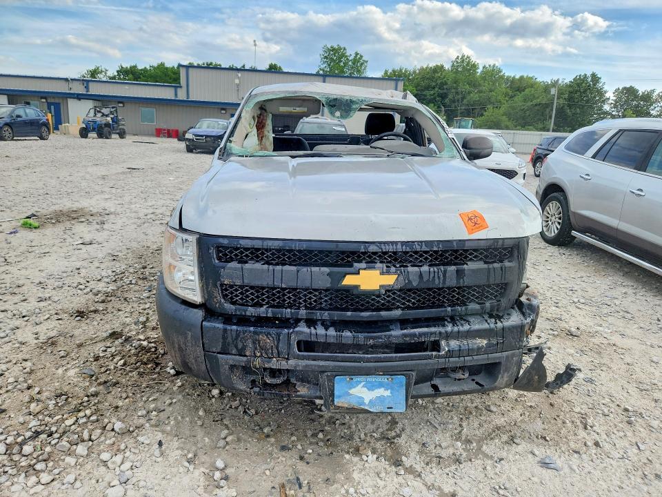 Продаж на аукціоні авто 2010 Chevrolet Silverado, vin: 1GCPKPE07AZ281494, номер лоту: 55517896