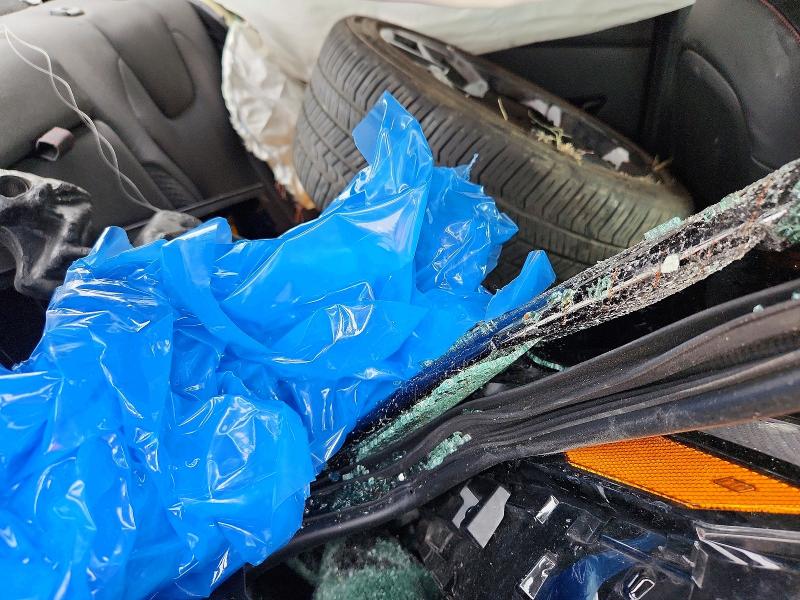 Aukcja sprzedaży 2025 Hyundai Elantra, vin: KMHLR4DF4SU063795, numer aukcji: 58198116