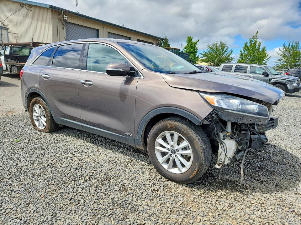 55624396 :رقم المزاد ، 5XYPGDA55KG567880 vin ، 2019 Kia Sorento مزاد بيع