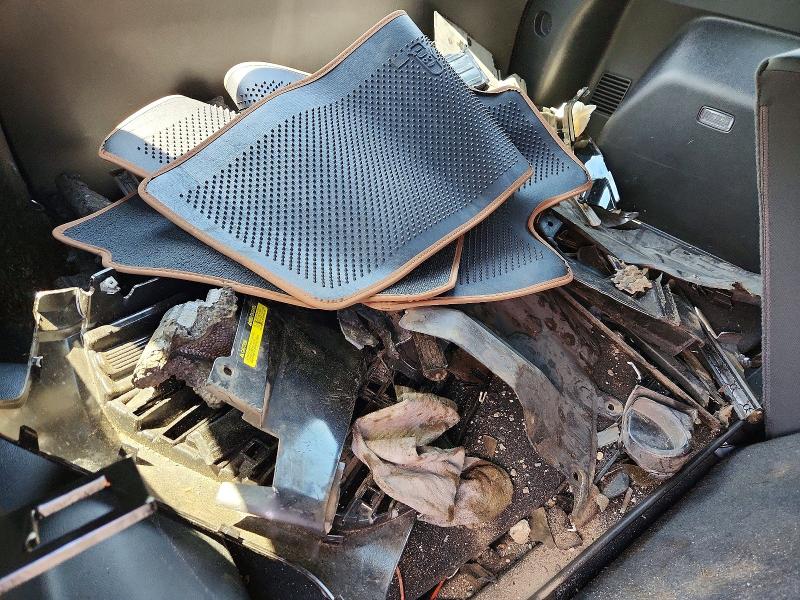 56814986 :رقم المزاد ، 3GKALYEG4TL344720 vin ، 2026 Gmc Terrain مزاد بيع